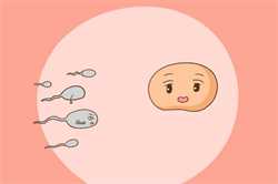 深圳供卵的费用大概多少，深圳第三代试管婴儿大概费用多少？