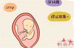 深圳最低价格代孕，试管婴儿在深圳需要花费多少费用，2023深圳试管婴儿最新
