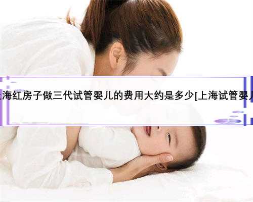 上海红房子做三代试管婴儿的费用大约是多少[上海试管婴儿]
